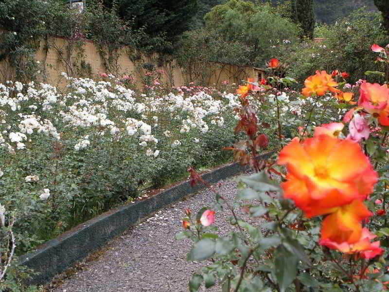 Pestana Quinta Do Arco Nature & Rose Garden Hotel Arco de São Jorge Eksteriør billede