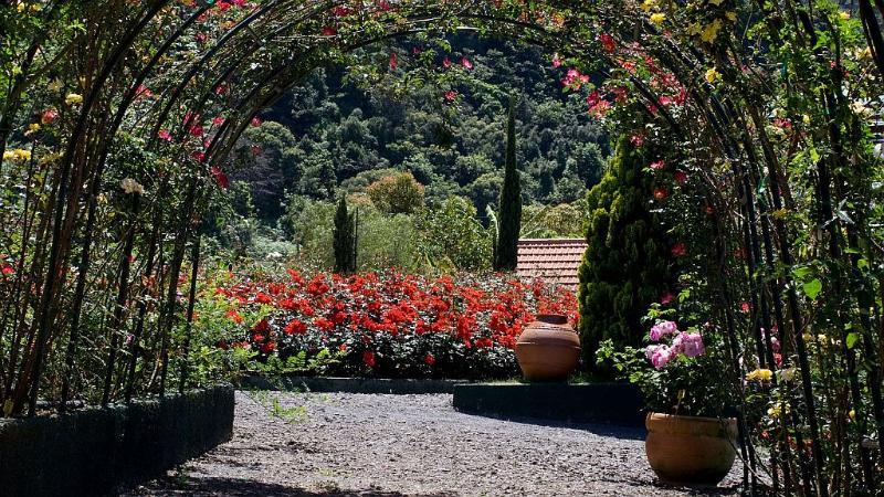 Pestana Quinta Do Arco Nature & Rose Garden Hotel Arco de São Jorge Eksteriør billede